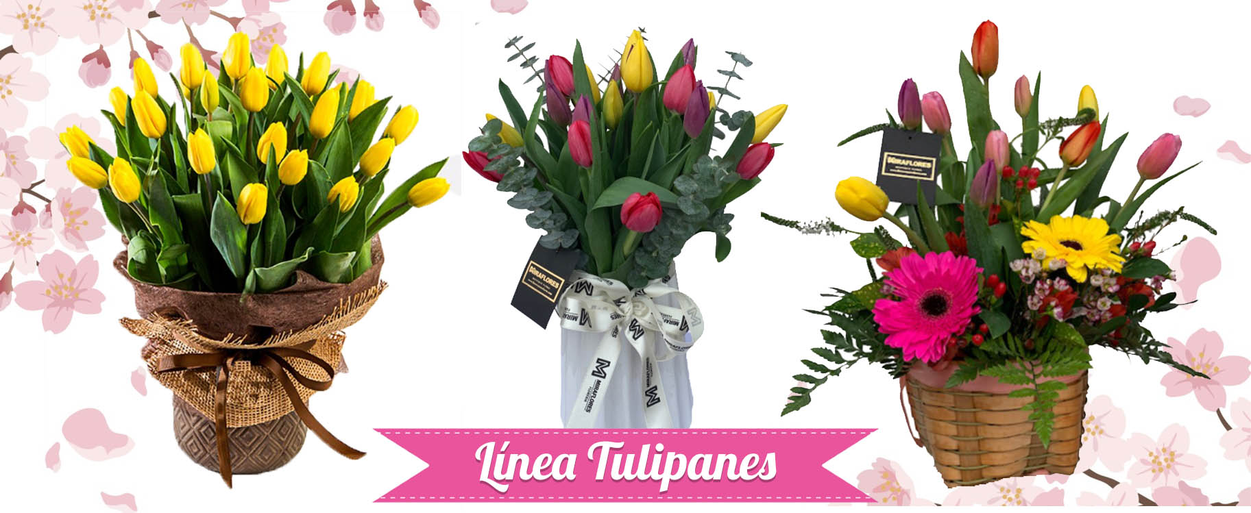 Tulipanes - Floreria Miraflores
