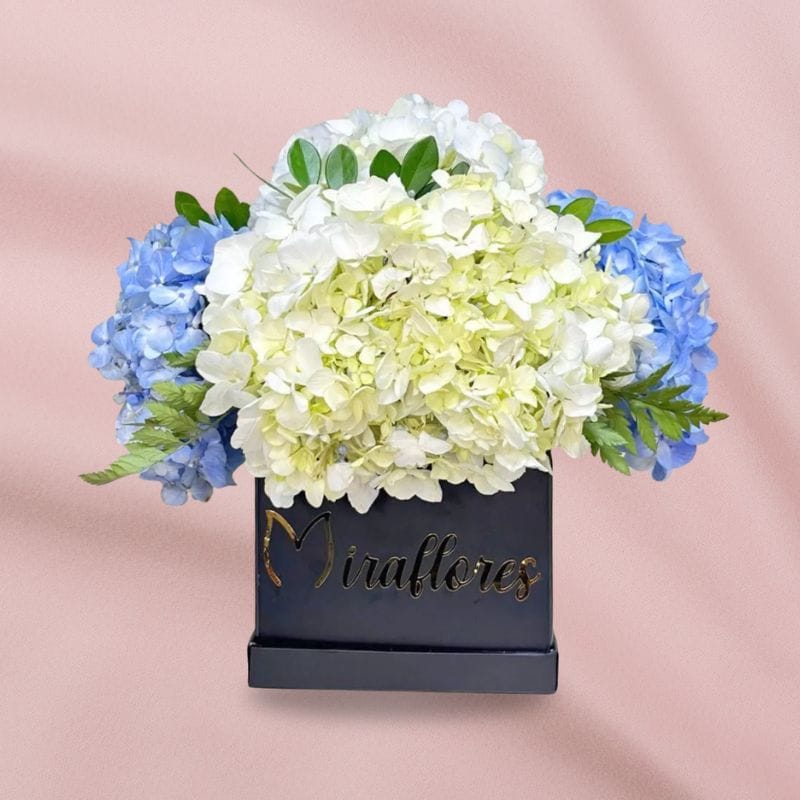 Box de Hortensias