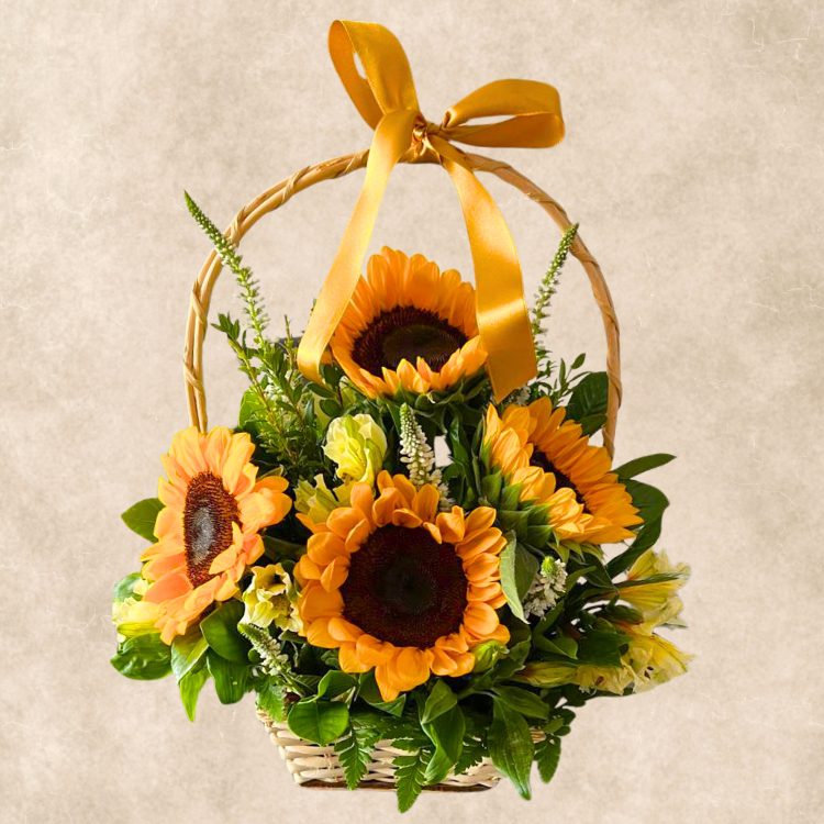 Canasta Jesús Maria