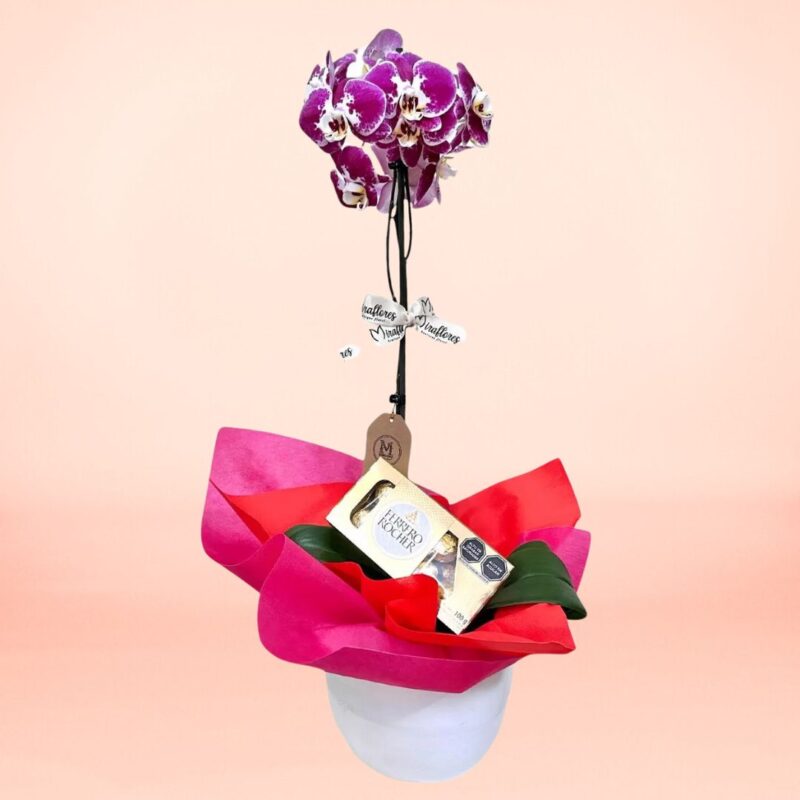 Hermosa Orquídea