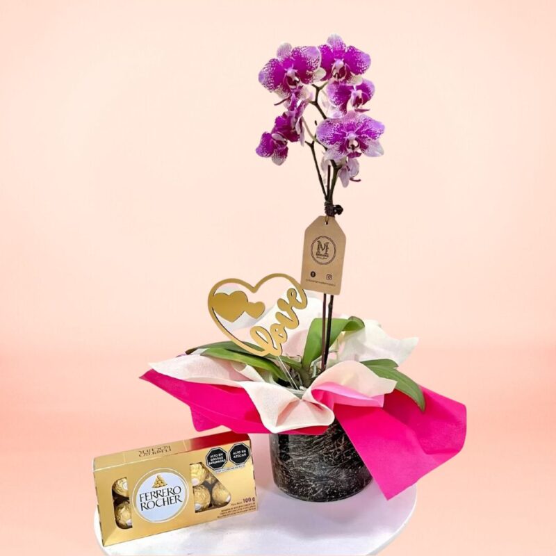 Elegante Orquídea