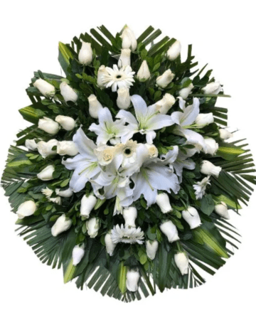 Lagrima funebre Premium