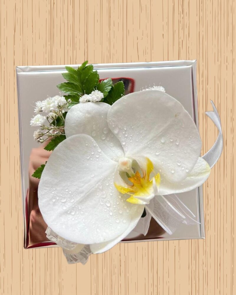 Orquídea Blanca - Imagen 2