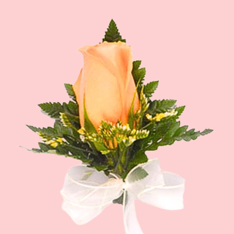 Rosita Melón Pre Prom