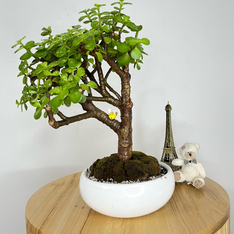 Moneda de la felicidad