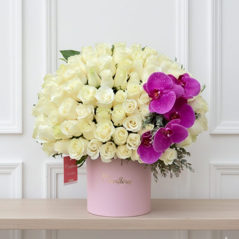 Bachata Rosa